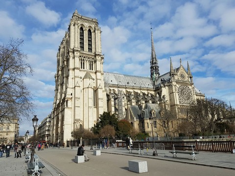 Cattedrale di Notre-Dame 2017
