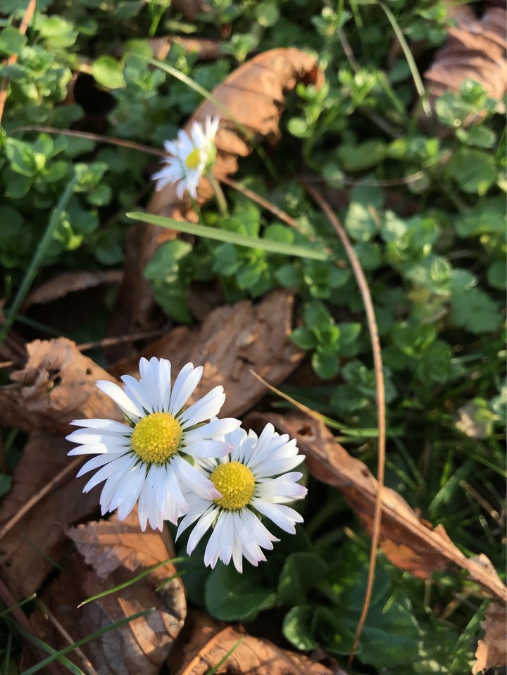 Beauty can be found just about anywhere 