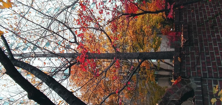 지난해, 쓸쓸한 어느 가을저녁