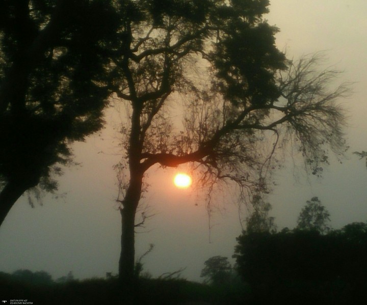 osm view