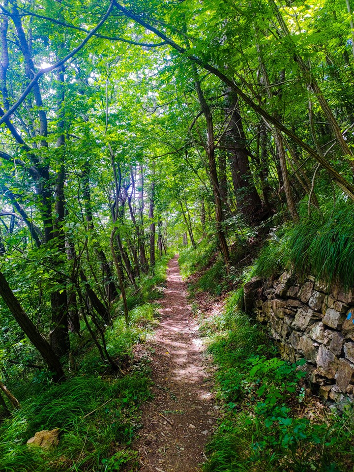 Sentiero Monte Alpesisa, Italy
