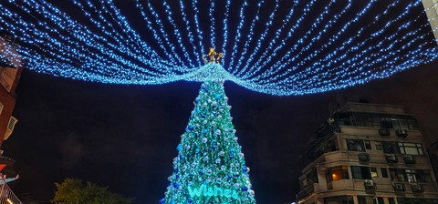 Xmas wishes tree