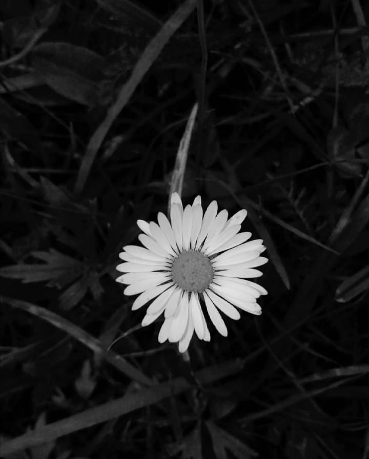 Lonely