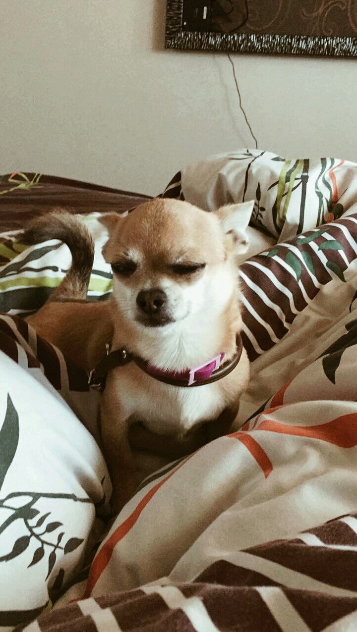 son