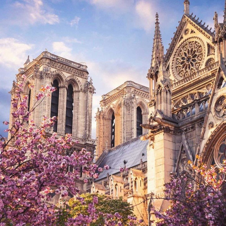 #paris #love
