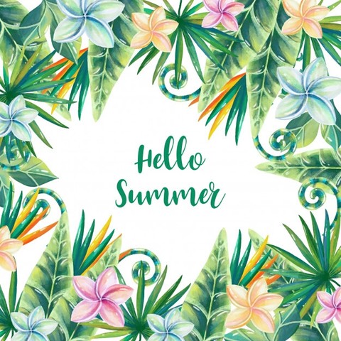 Hello Summer