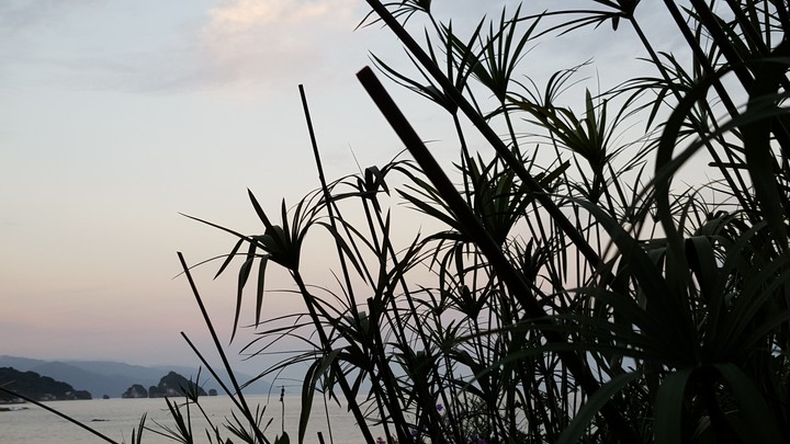 Beach Life