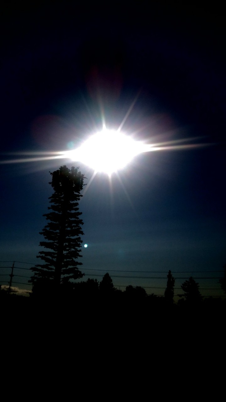 shine