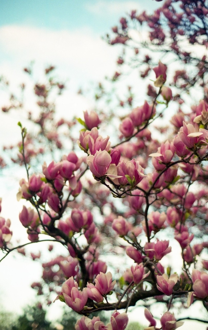 Natur
