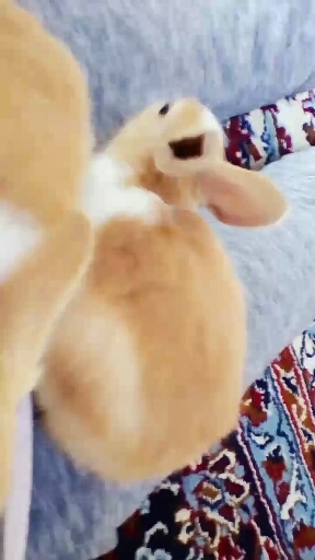 ❤