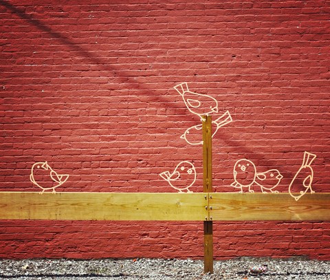 wall, wood वॉलपेपर