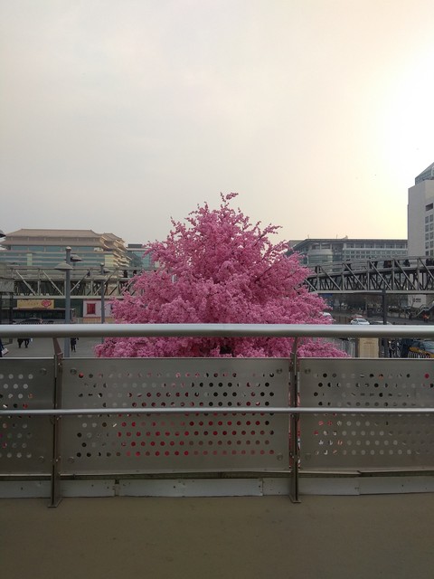at xidan Street