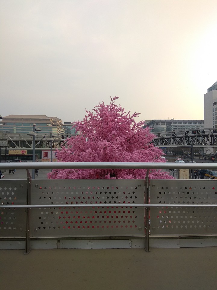 at xidan Street
