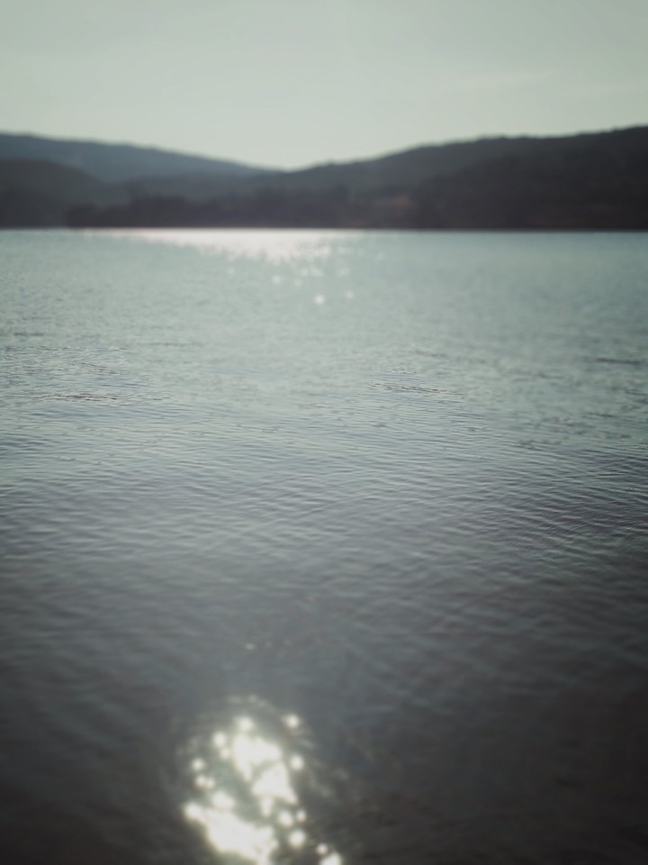 prity nature