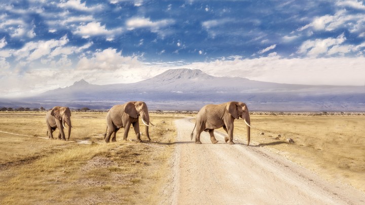 road