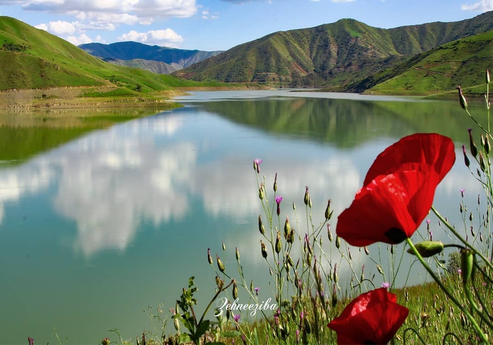 Kordestan Nature
