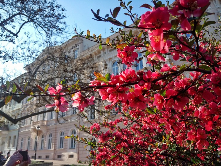 Spring