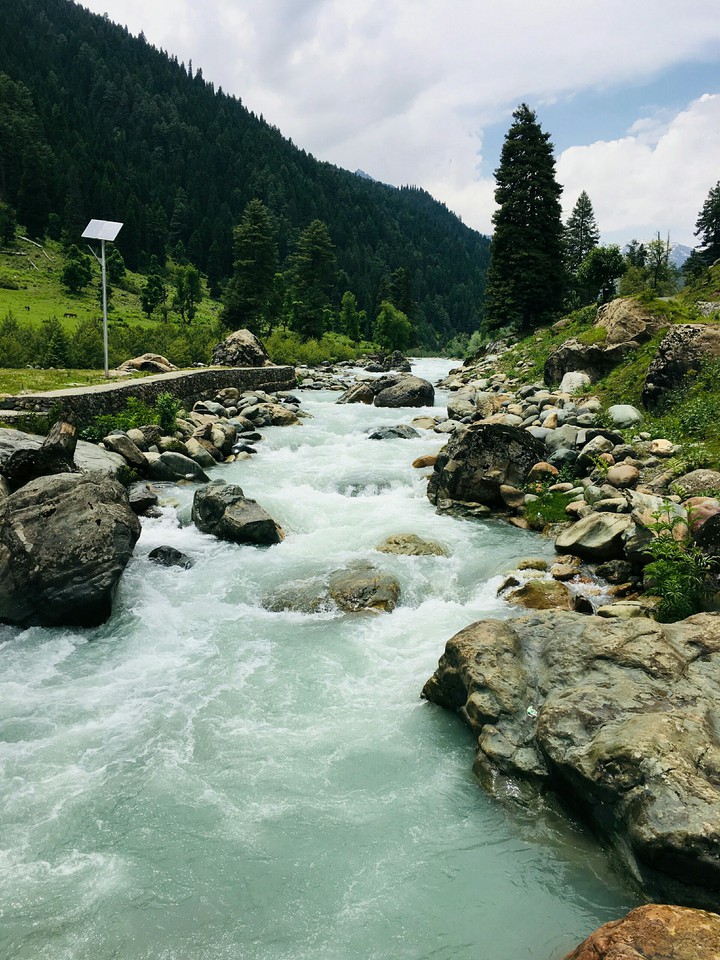 Nature
