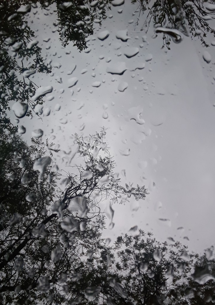 Rainy day