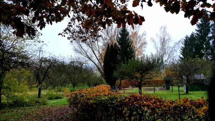 Autumn Nature