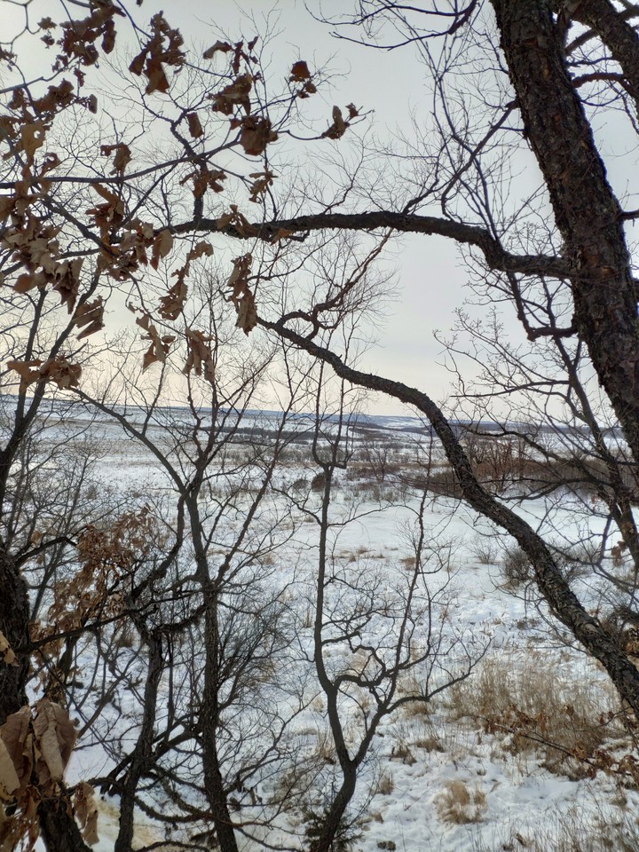 февральские зарисовки)