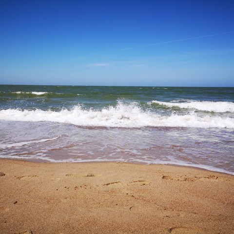 waves