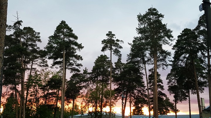 Park