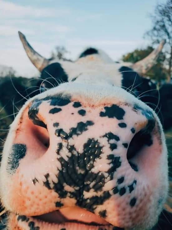 ❤❤❤❤