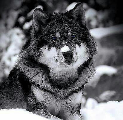 georgia ♡♡♡