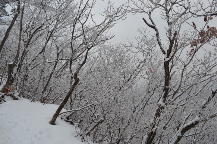 관악산의겨울이미지