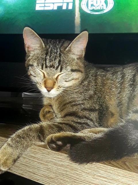 Zoe