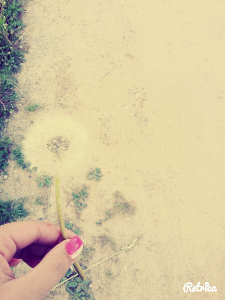 summer