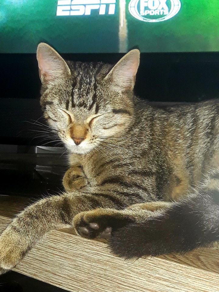 Zoe