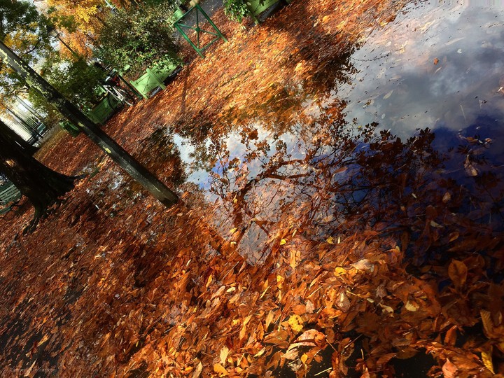 welecome autumn by ©Iceman Le Photographe