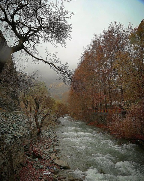 Chaloos Road