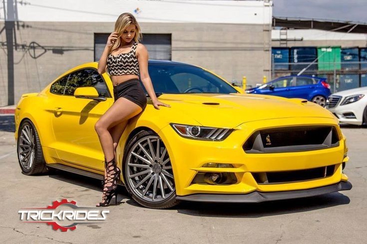 mustang