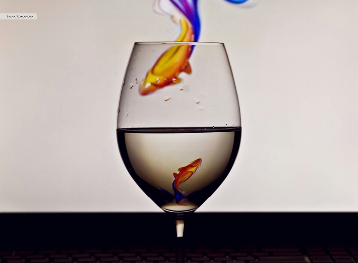 Two fishes