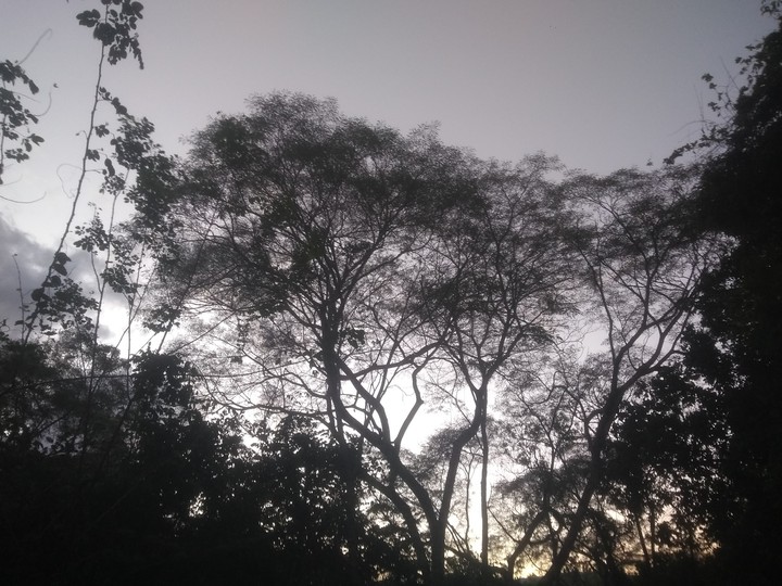 nature