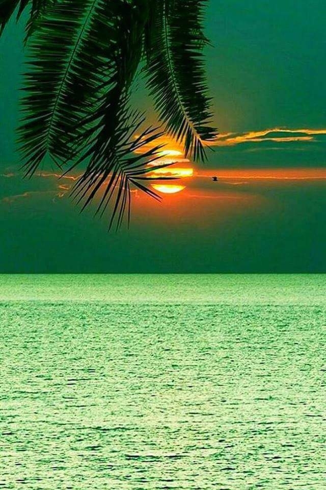 Just undescribable Nature's Beauty 