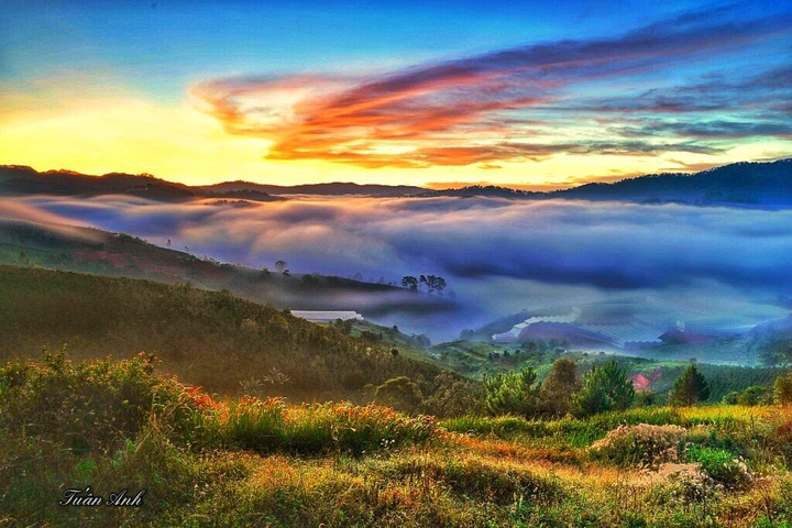 bình minh trên đồi