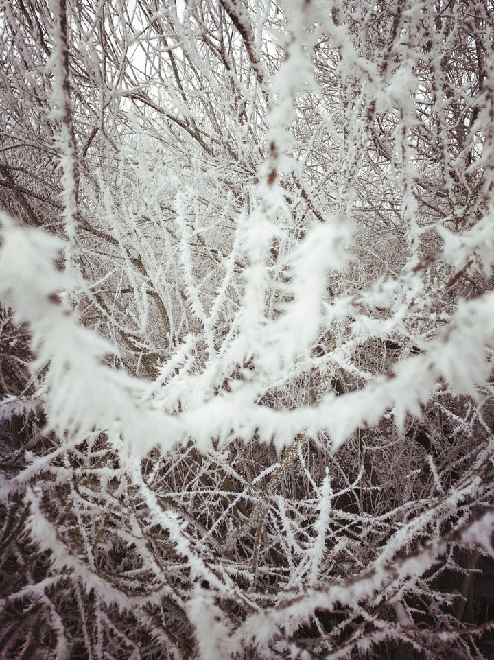 Winter in Ukraine