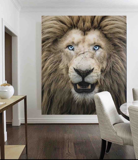 Adoro un leone
