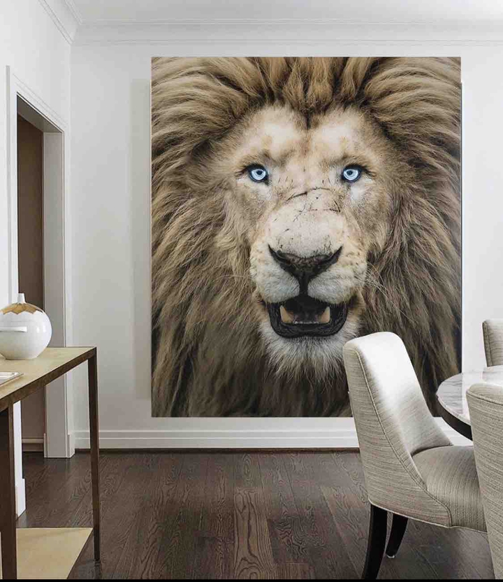 Adoro un leone