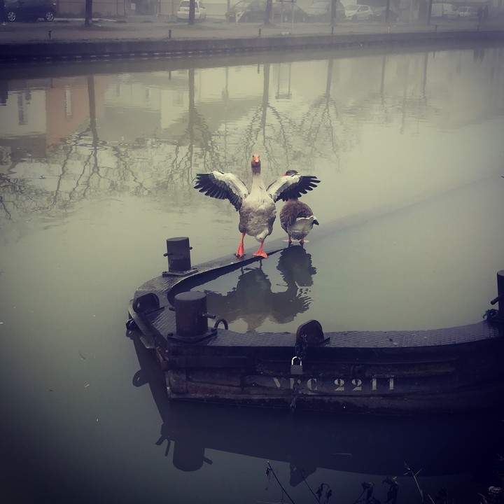 canal de l'ourcq. #Sevran #93