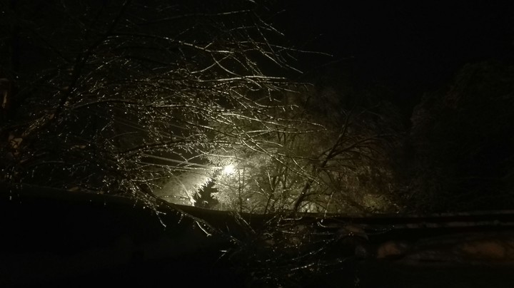 winter