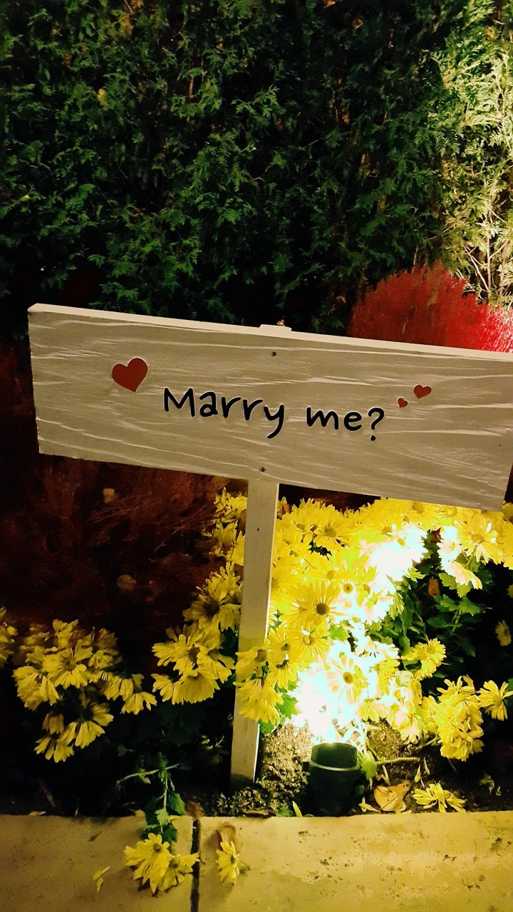 will you marry me?