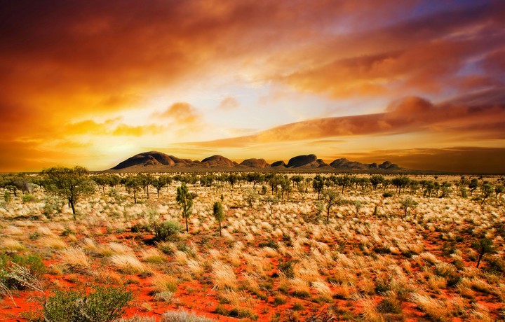 Desert - sunset - landscape