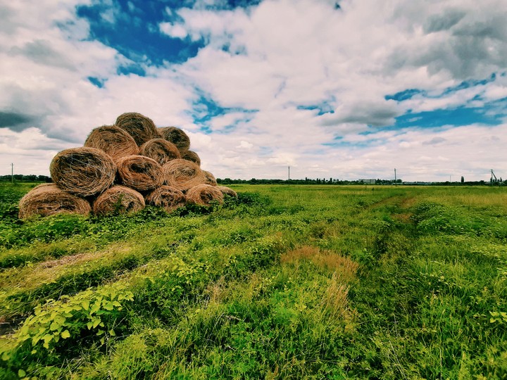 field