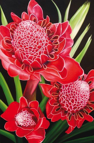 Red flowers.