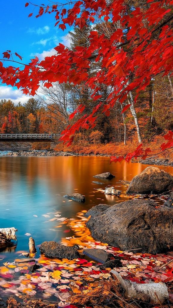 nature